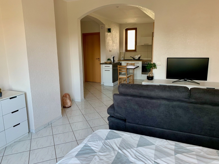 Location Appartement 1 pièce Wissembourg (67160) - AU CALME