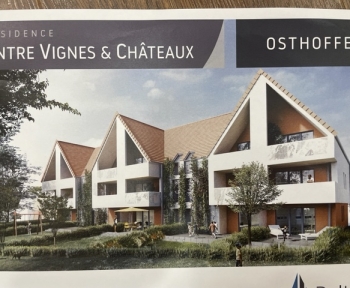 Location Appartement 2 pièces Osthoffen (67990) - RDC et jardin terrasse